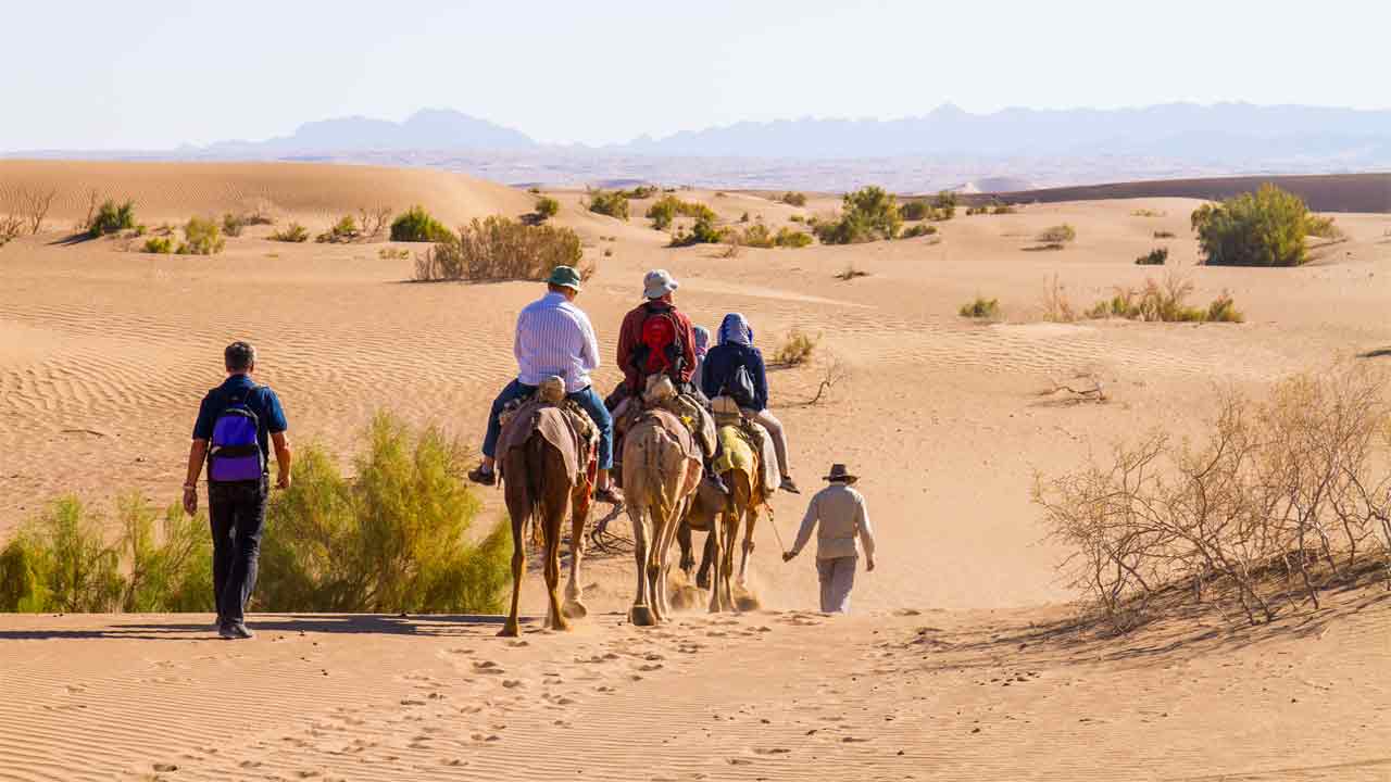 riding camel in iranian desert