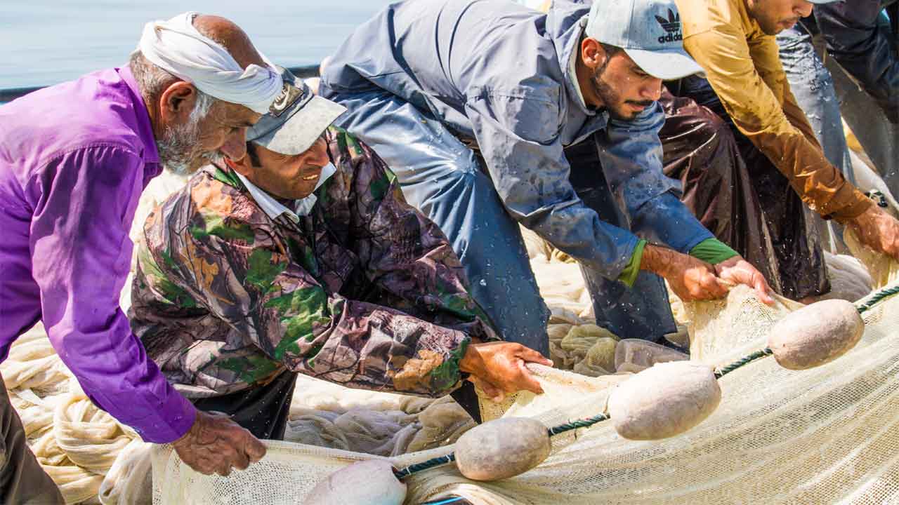 Fishermen in Qeshm Island