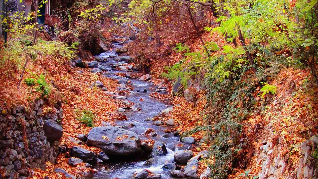 Autumn nature in saadabad