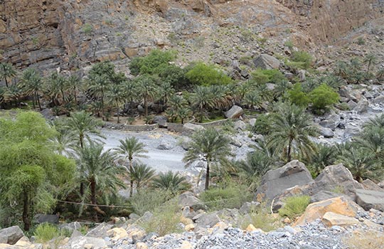 The Valleys of Oman and the Experience of an Adventurous Hiking